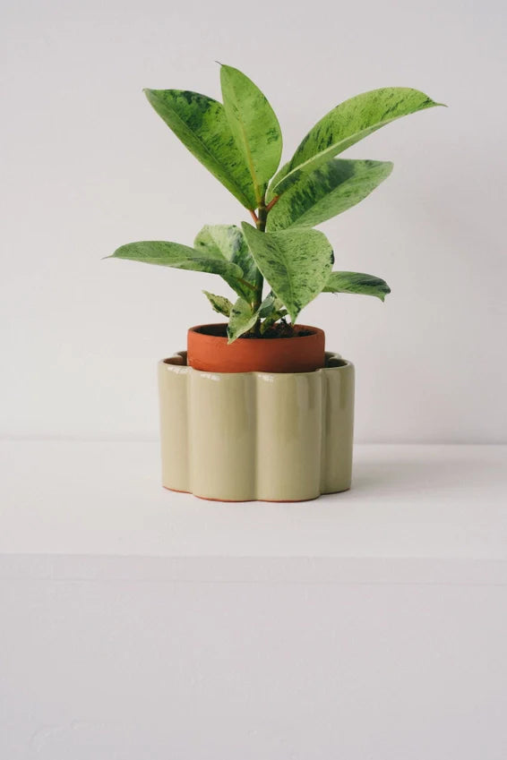 Self-Watering Pot Paula