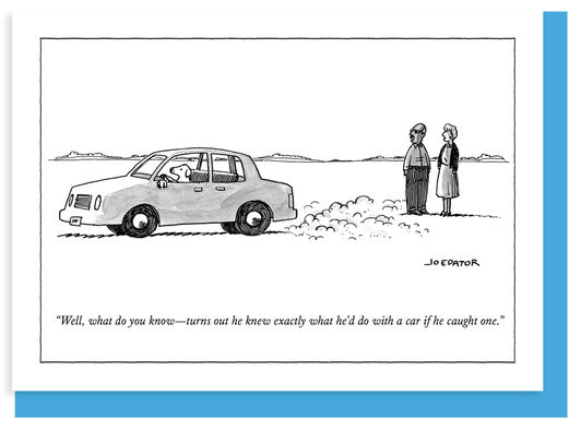 Any Occasion - What Do You Know (dog driving car) by Homeportonline