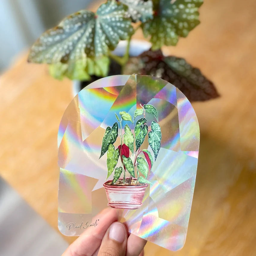 Rainbow Maker Suncatcher Window Decal Sticker
