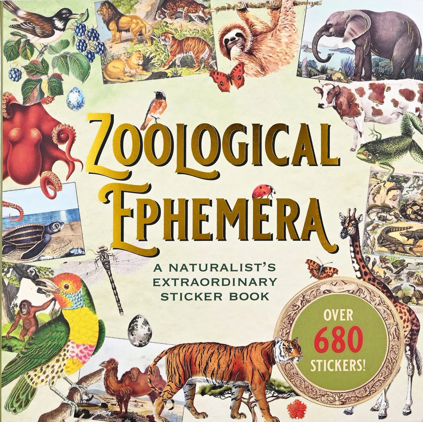 Sticker Book Zoological Ephemera by Homeportonline