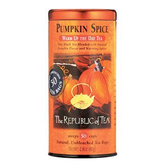 Pumpkin Spice Tea Bags by Kiss the Cook