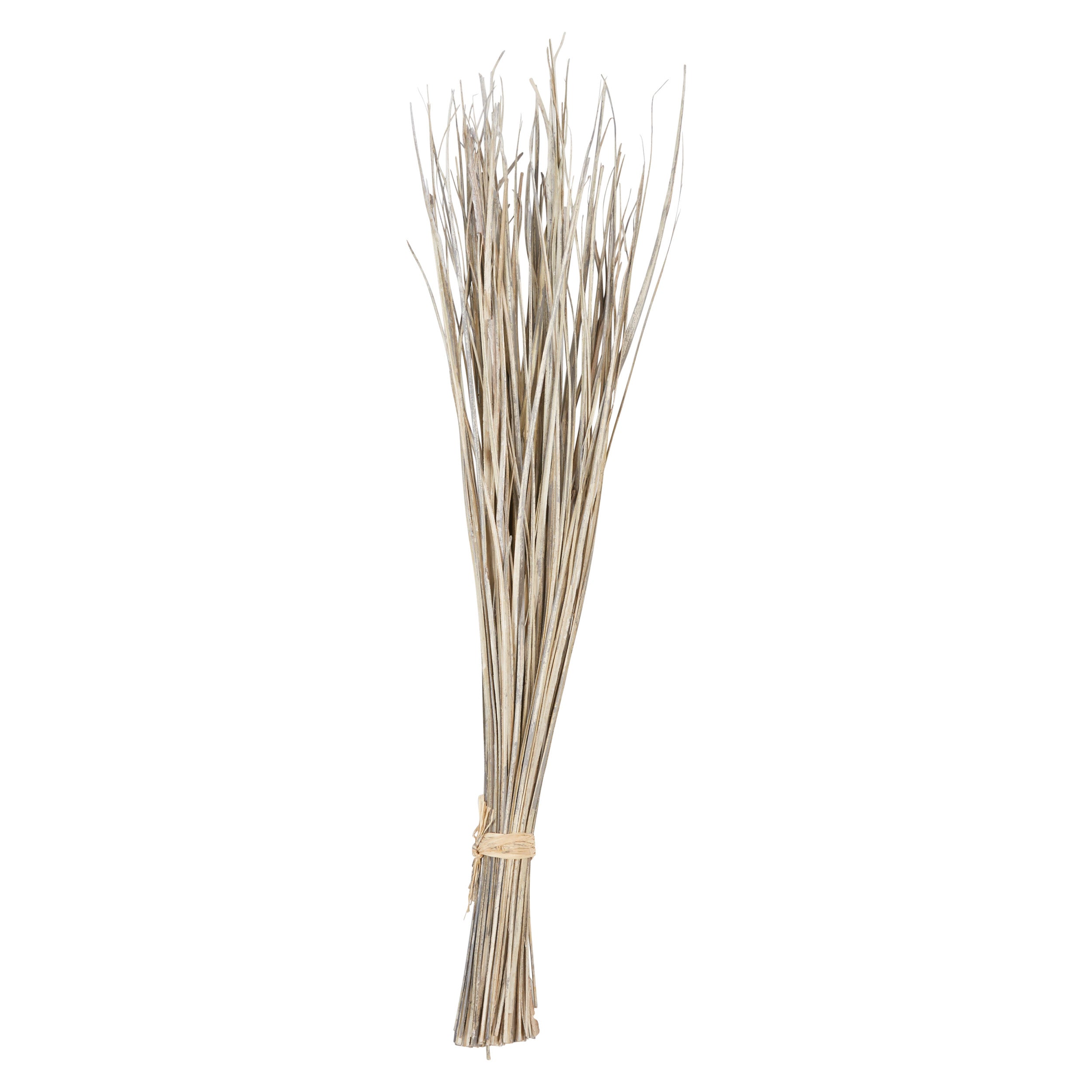 Dried Natural Date Palm Leaf Bunch by Homeportonline