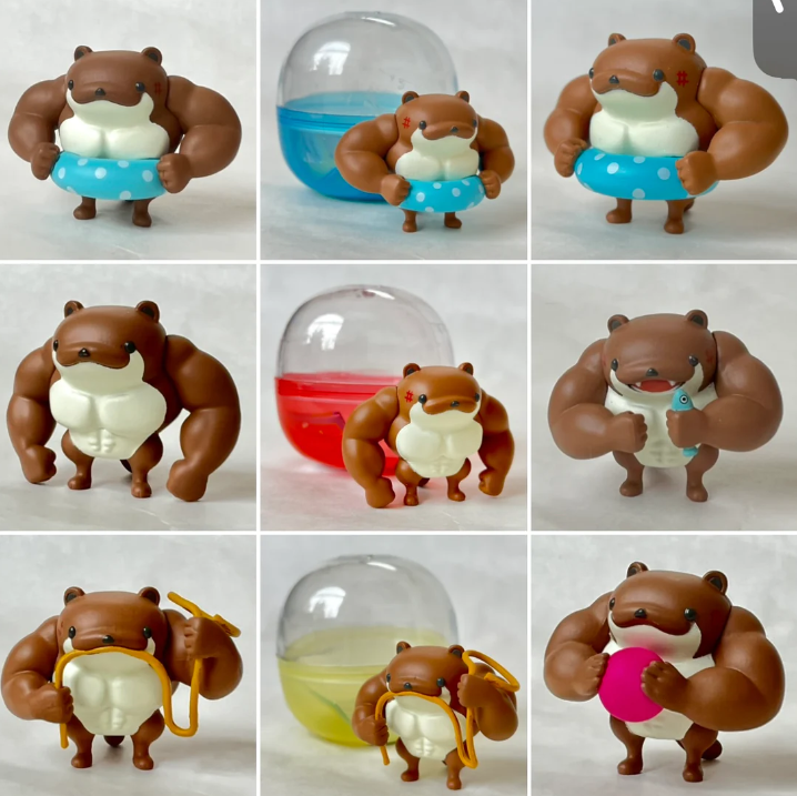 Gashapon Capsule Teen & Up Tough Otter (Sold As An Individual Capsule) by Homeportonline