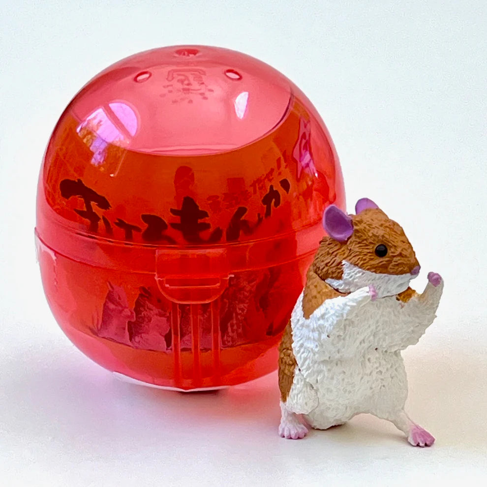 Gashapon Capsule Teen & Up Kung Fu Animals (Sold As An Individual Capsule) by Homeportonline