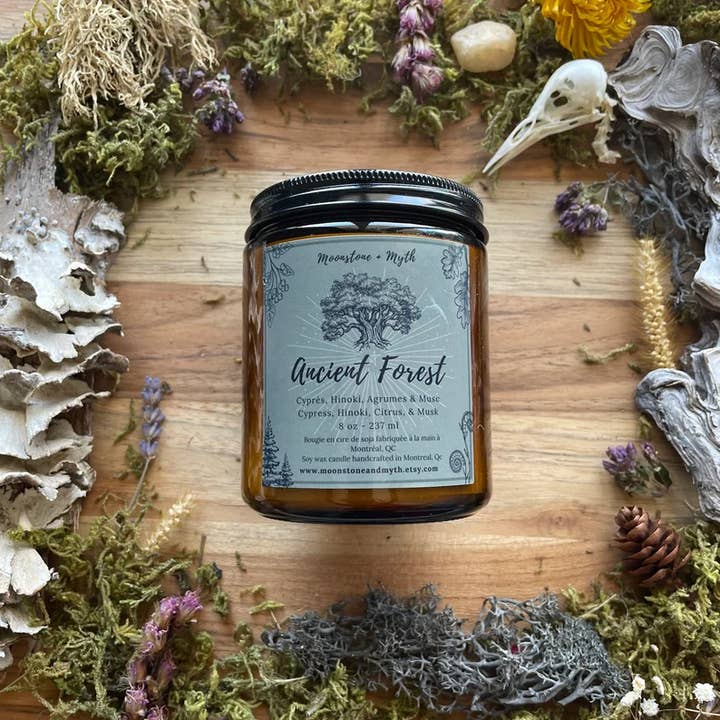 Ancient Forest, 100% Soy Wax Scented Candle