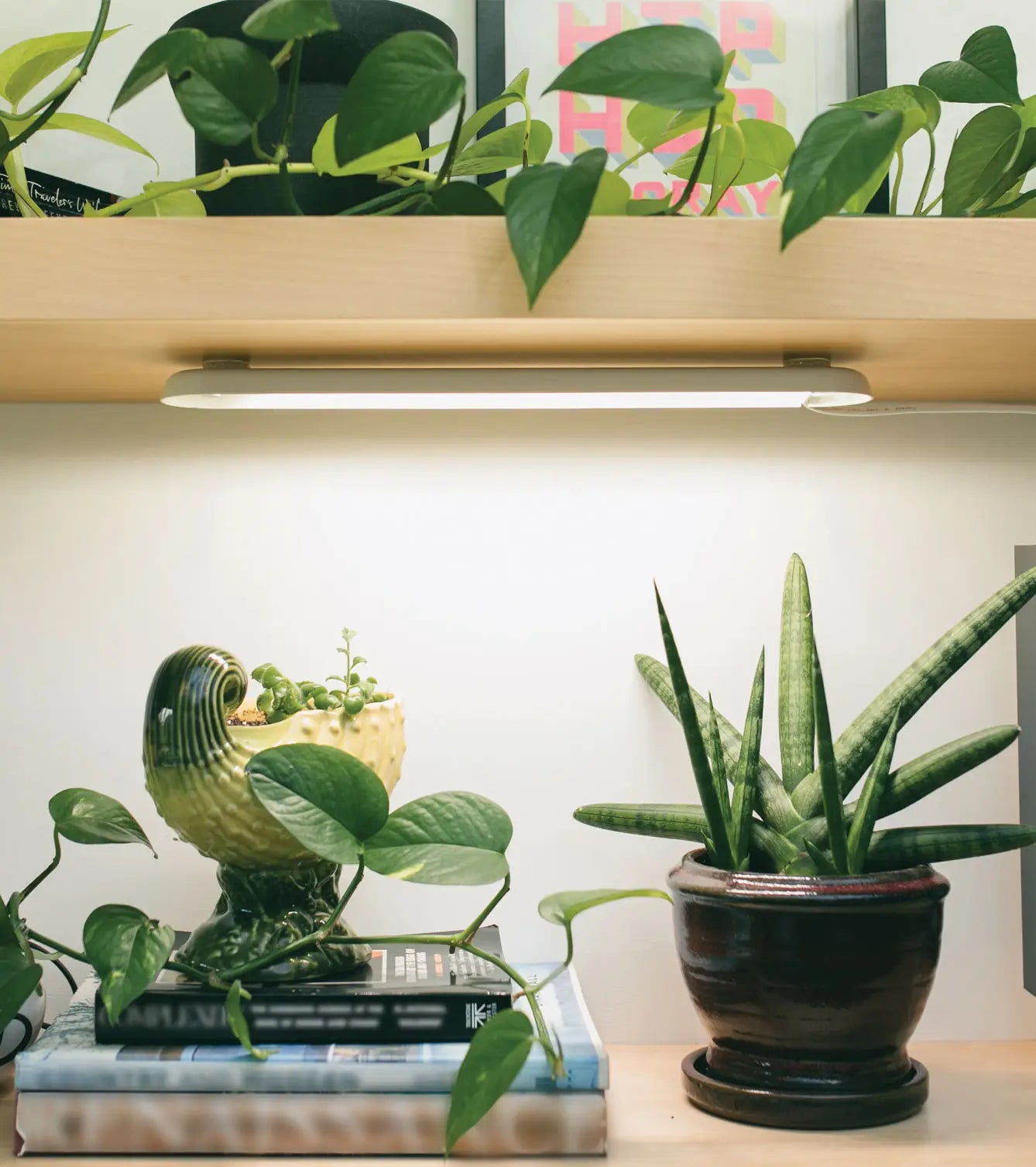 Flush Mount Grow Light