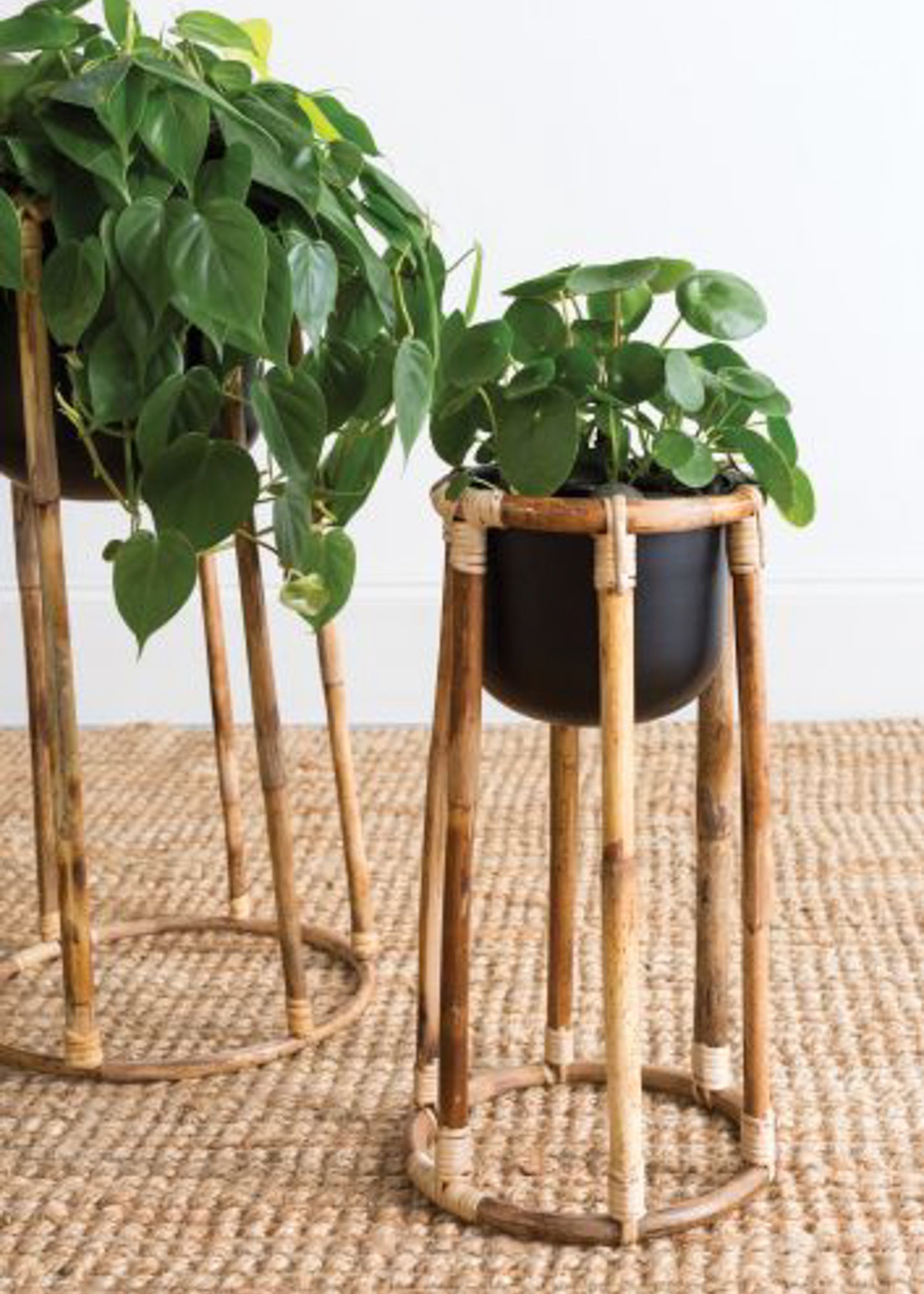 Black + Rattan Plant Stand (2 Sizes Available)