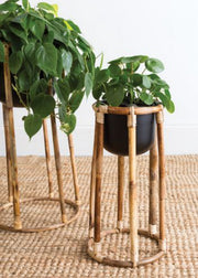Black + Rattan Plant Stand (2 Sizes Available)