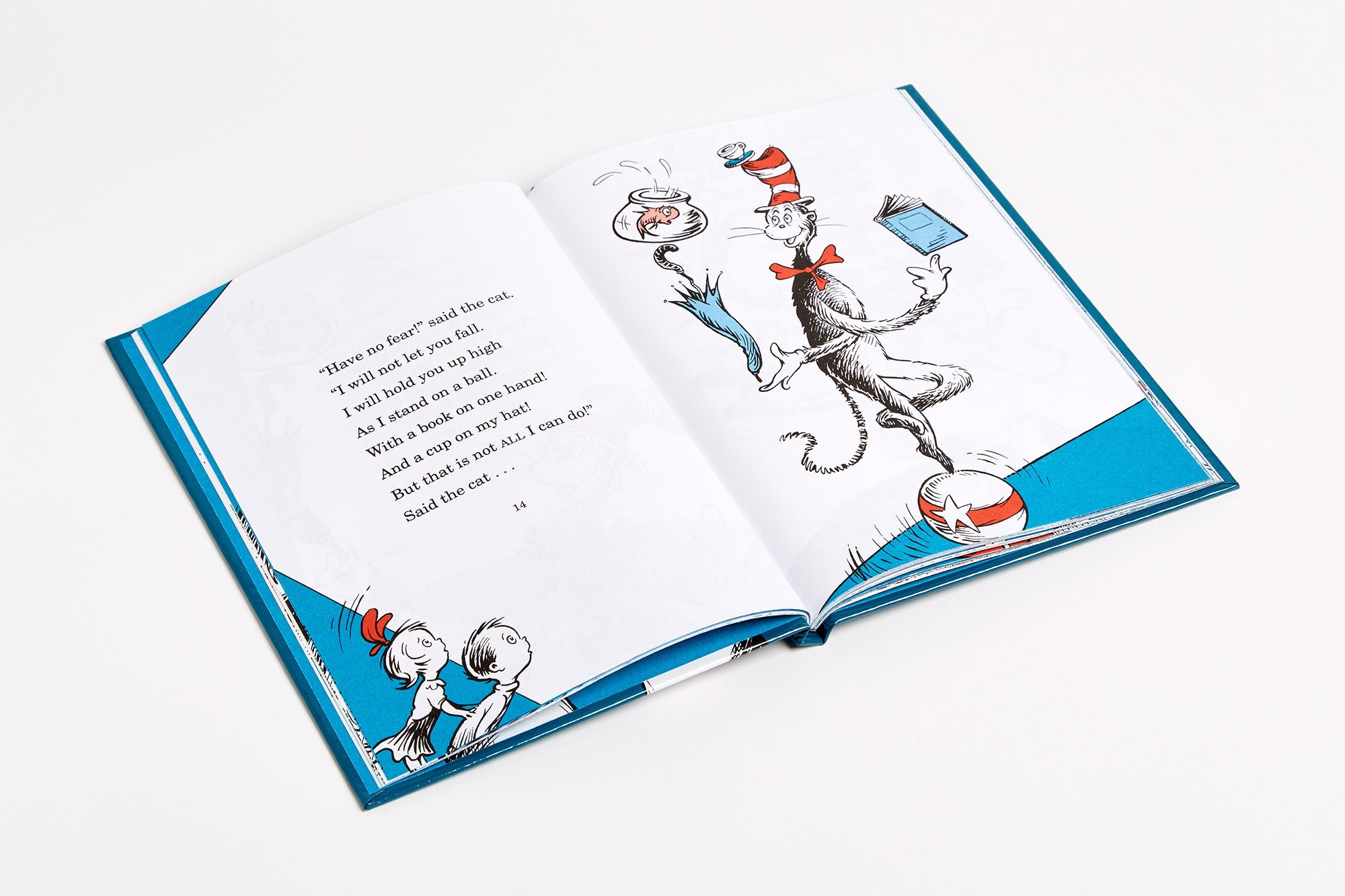 Dr. Seuss Book Cat In The Hat (7x9 Hardcover) by Homeportonline