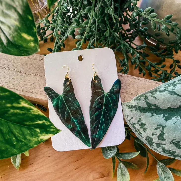 Anthurium 'dark Mama' Plant Leaf Earring, Magnet, Pin, Decor