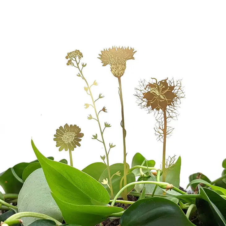 Sale!Brass Blooms Wildflowers, Botanical Decoration