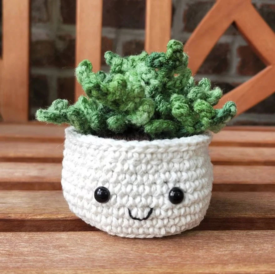 Crochet Plant