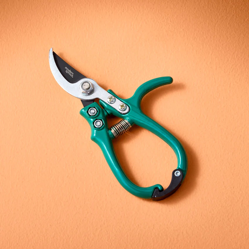 Garden Shears and Pruners