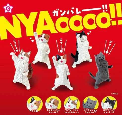Gashapon Capsule For All Ages Nyaoo Cheer Cats (Sold As An Individual Capsule) by Homeportonline