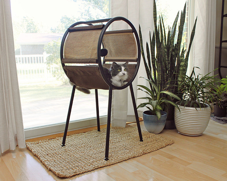 Cat Lounger by Homeportonline