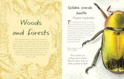 An Anthology of Beetles A Collection of Brilliant Beetles from Around the World