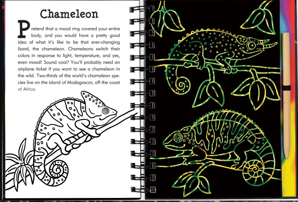 Scratch And Sketch Trace Along Activity Book Rainforest by Homeportonline