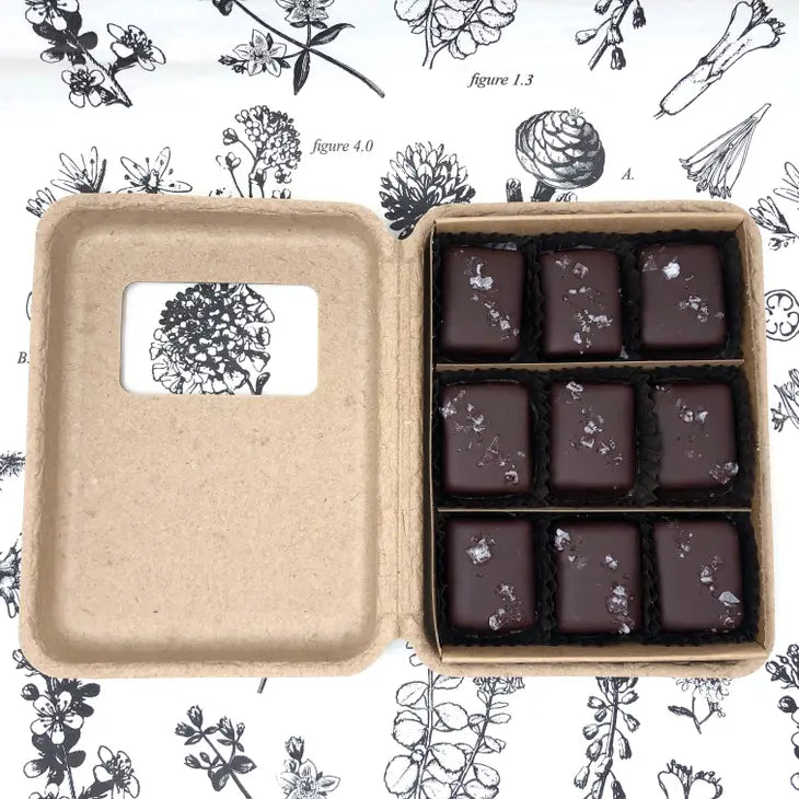 9 Piece Dark Chocolate Covered Salted Caramels