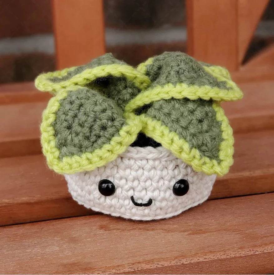 Crochet Plant
