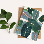 Caladiums Greeting Card