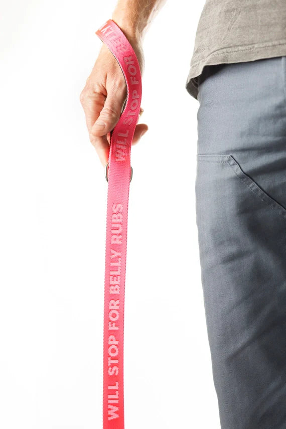 Sale!Dog Leash - Belly Rubs Pink