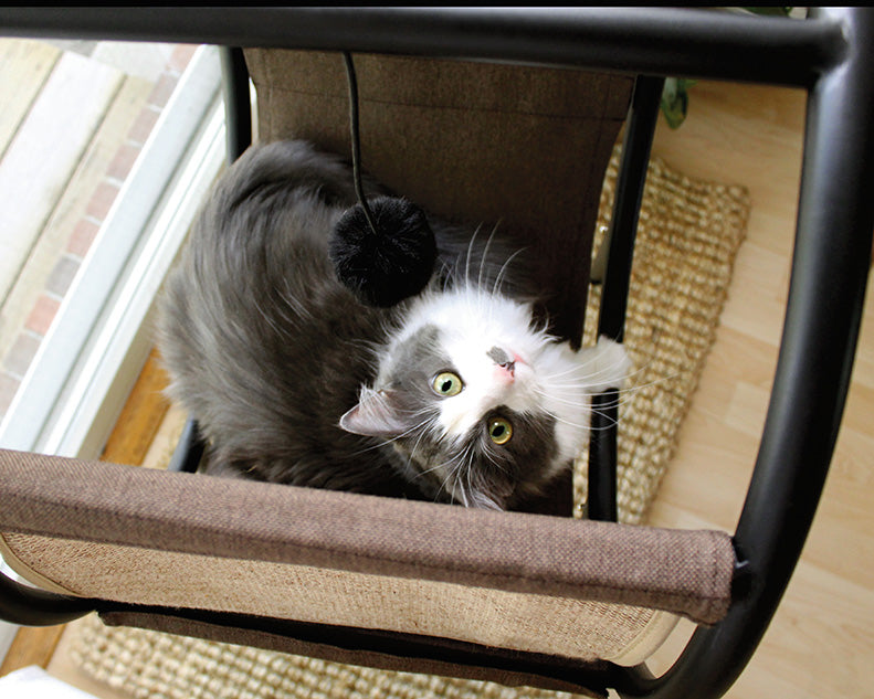 Cat Lounger by Homeportonline