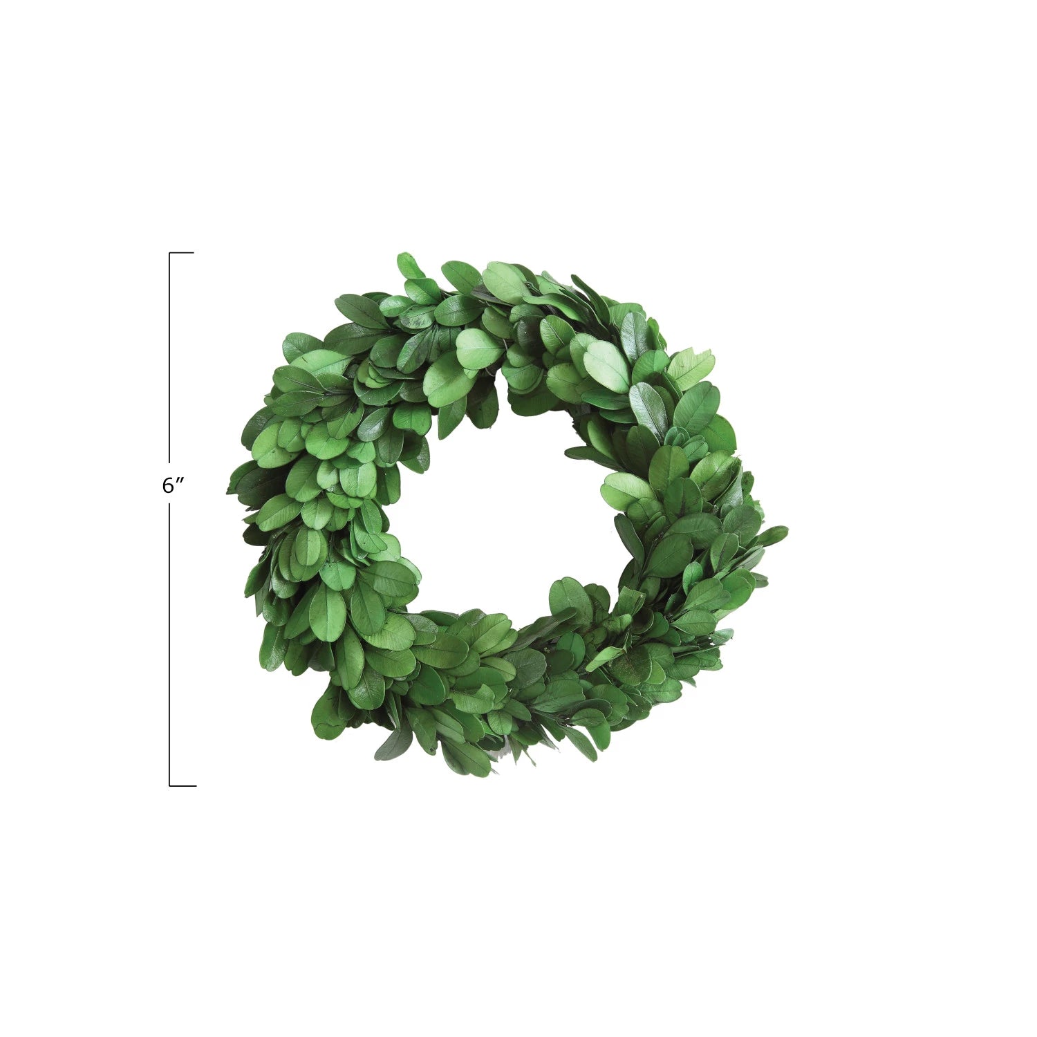 Decorative Boxwood Wreath 6"d by Homeportonline
