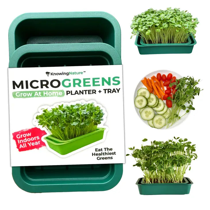 Windowsill Microgreens Planters