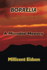Borrelia: A Microbial Mystery