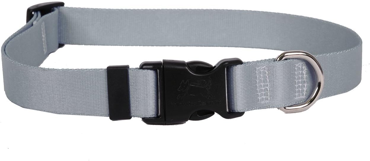 Dog Collar 1in wide Medium 14inch-20inch Gray by Homeportonline