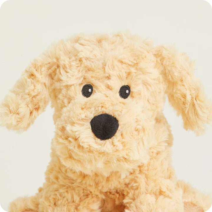 Warmies Junior Dog Golden 9" by Homeportonline