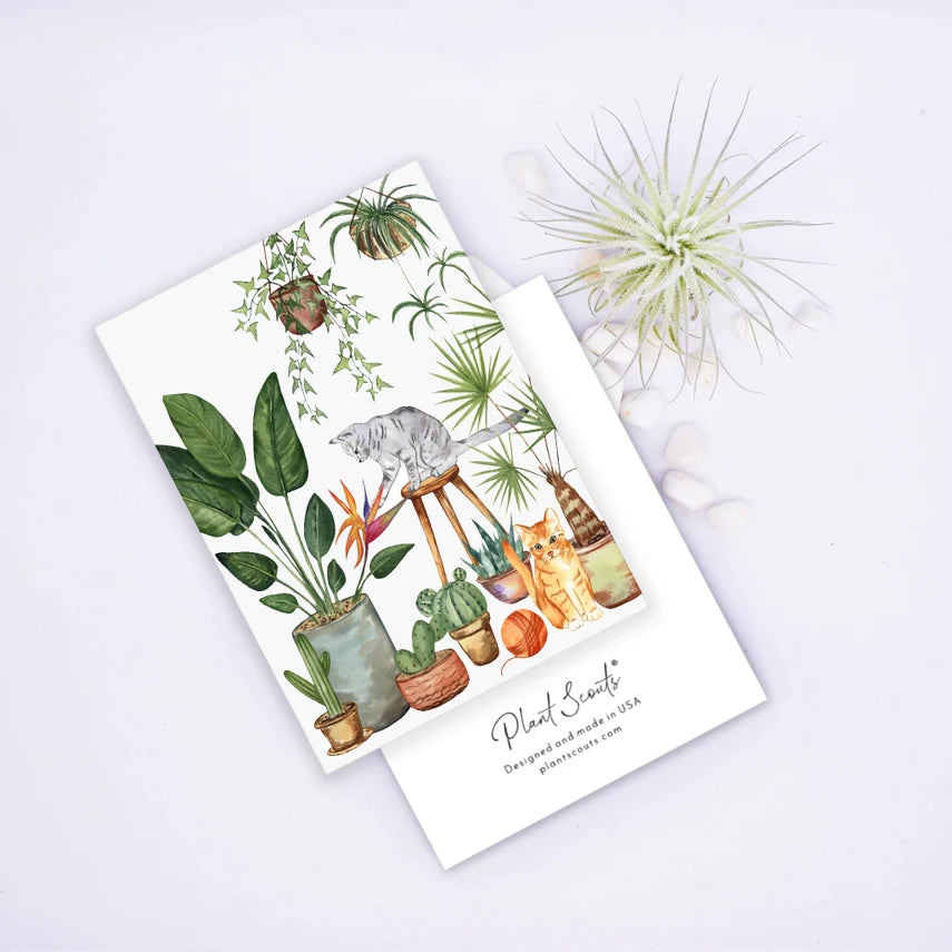 Greeting Cards by Plant Scouts