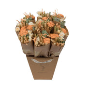 Dried Flowers - Market More - Apricot by Wild Lark