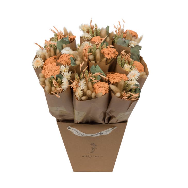Dried Flowers - Market More - Apricot by Wild Lark