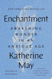 Enchantment Awakening Wonder in an Anxious Age