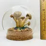 Mushroom Curiosity Jar Real Fungi Curio