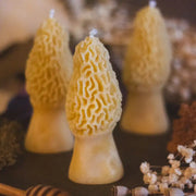 Morel Mushroom Beeswax Candle