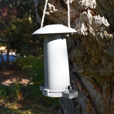 Bird Feeder
