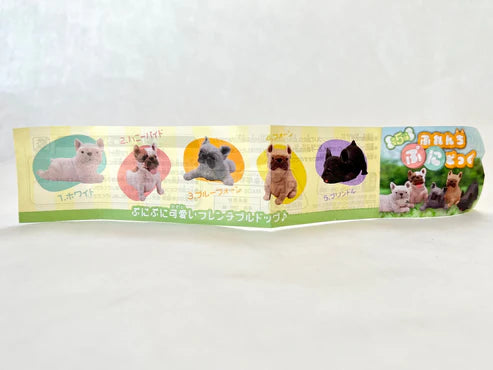 Gashapon Capsule For All Ages French Bulldog (Sold As An Individual Capsule) by Homeportonline
