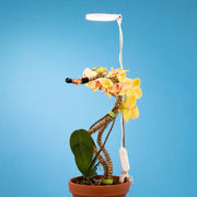 White Adjustable LED Plant Light