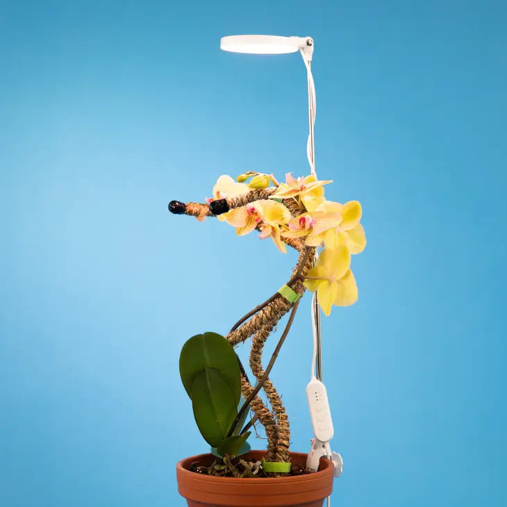 White Adjustable LED Plant Light