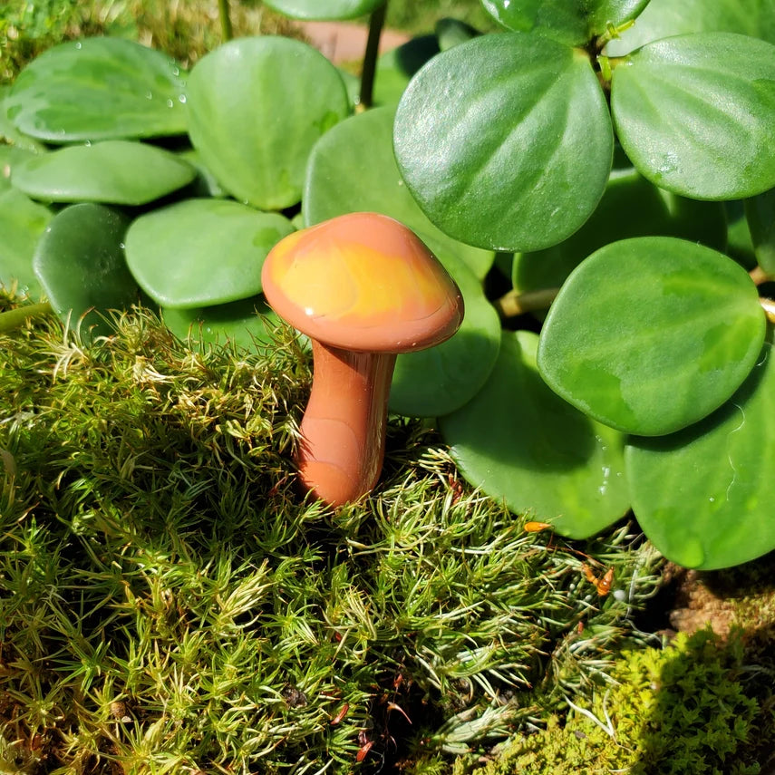 Mushroom Glass Plant Spike