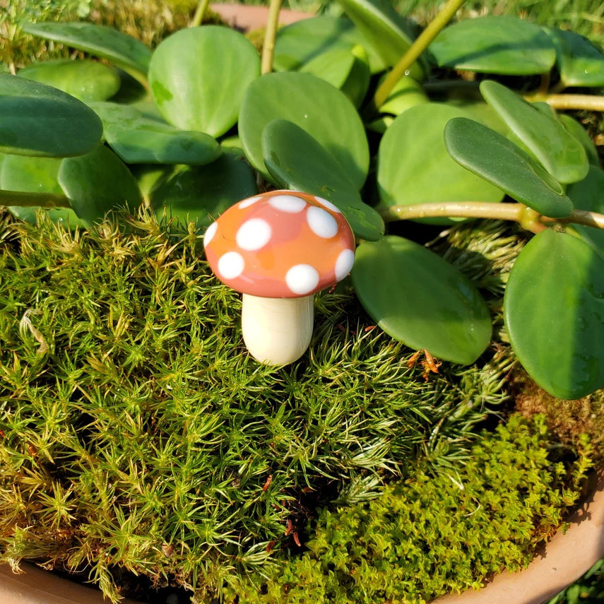 Mushroom Glass Plant Spike