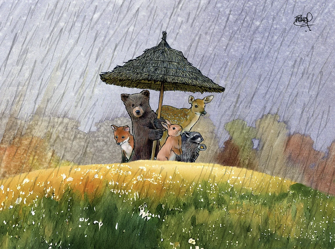 Greeting Cards