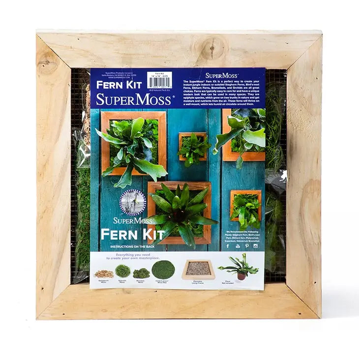 Staghorn Fern Kit