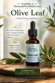 Olive Leaf