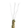 3 Pack Bendable Moss Pole™ THIN by Wild Lark