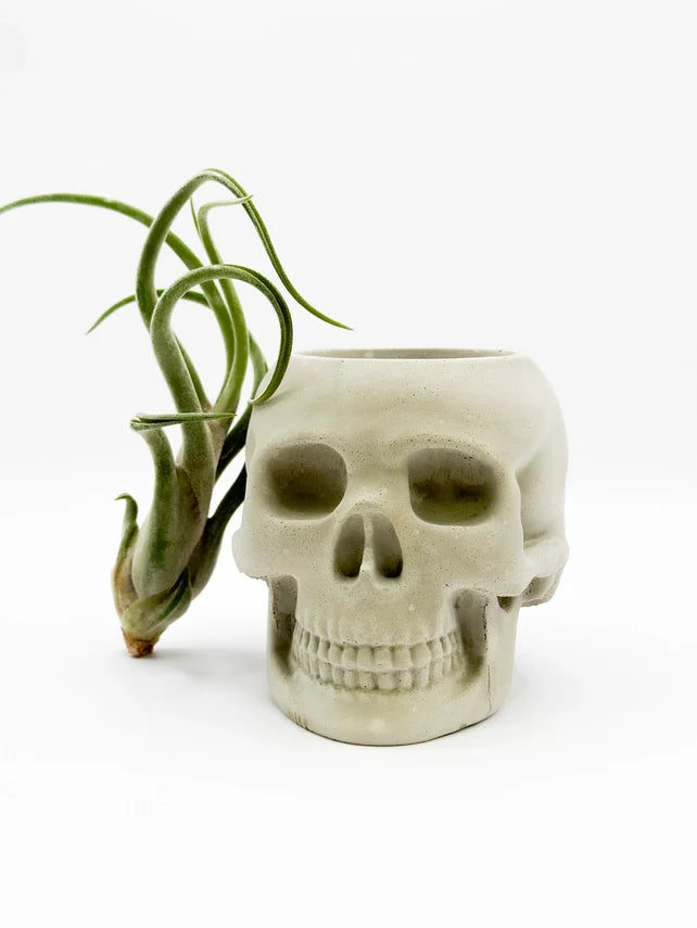 Skull Concrete Planter