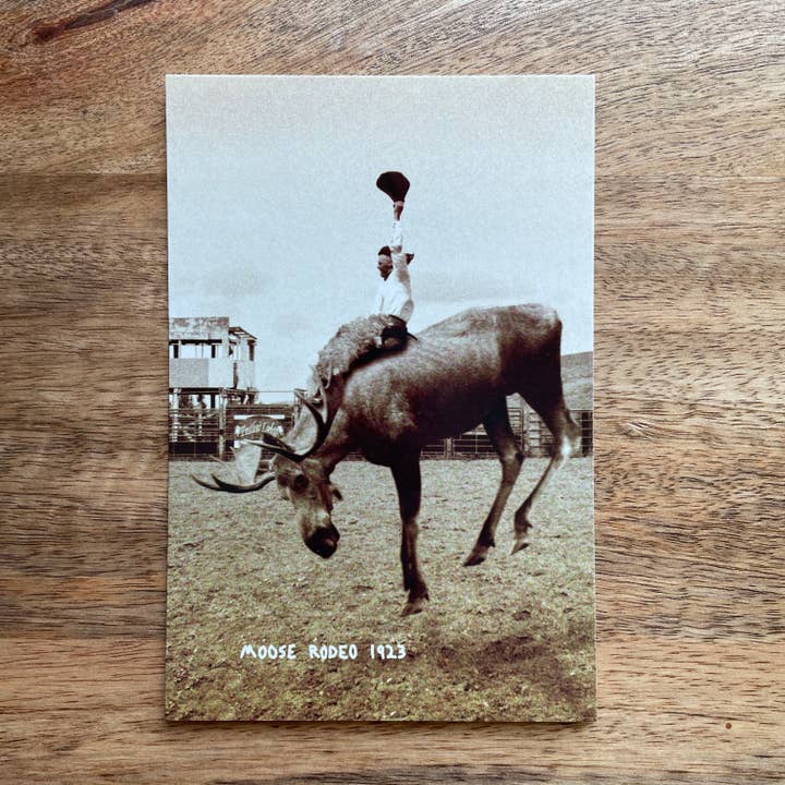 Post Cards - Colossal Sanders