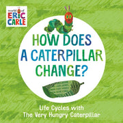 How Does a Caterpillar Change Life Cycles with The